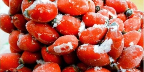 Kako pripremiti šipak za zimu kod kuće